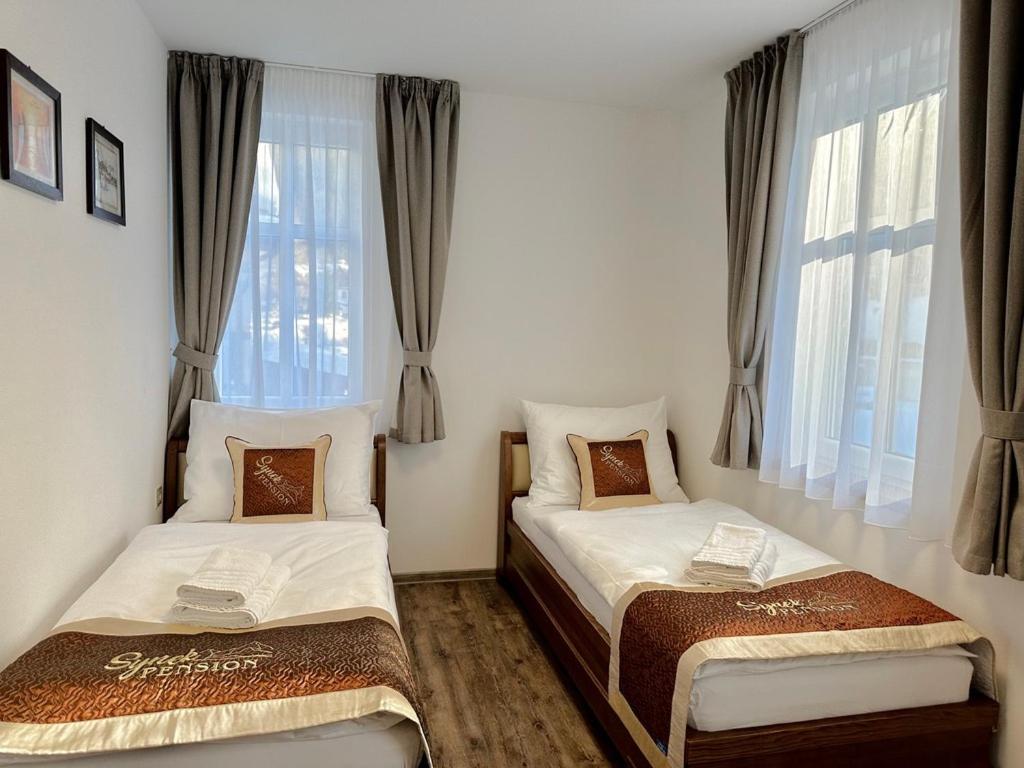 Synek Pension Špindlerŭv Mlýn Esterno foto